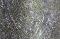 Milland fibreglass roof work