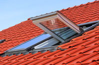 Milland roof window